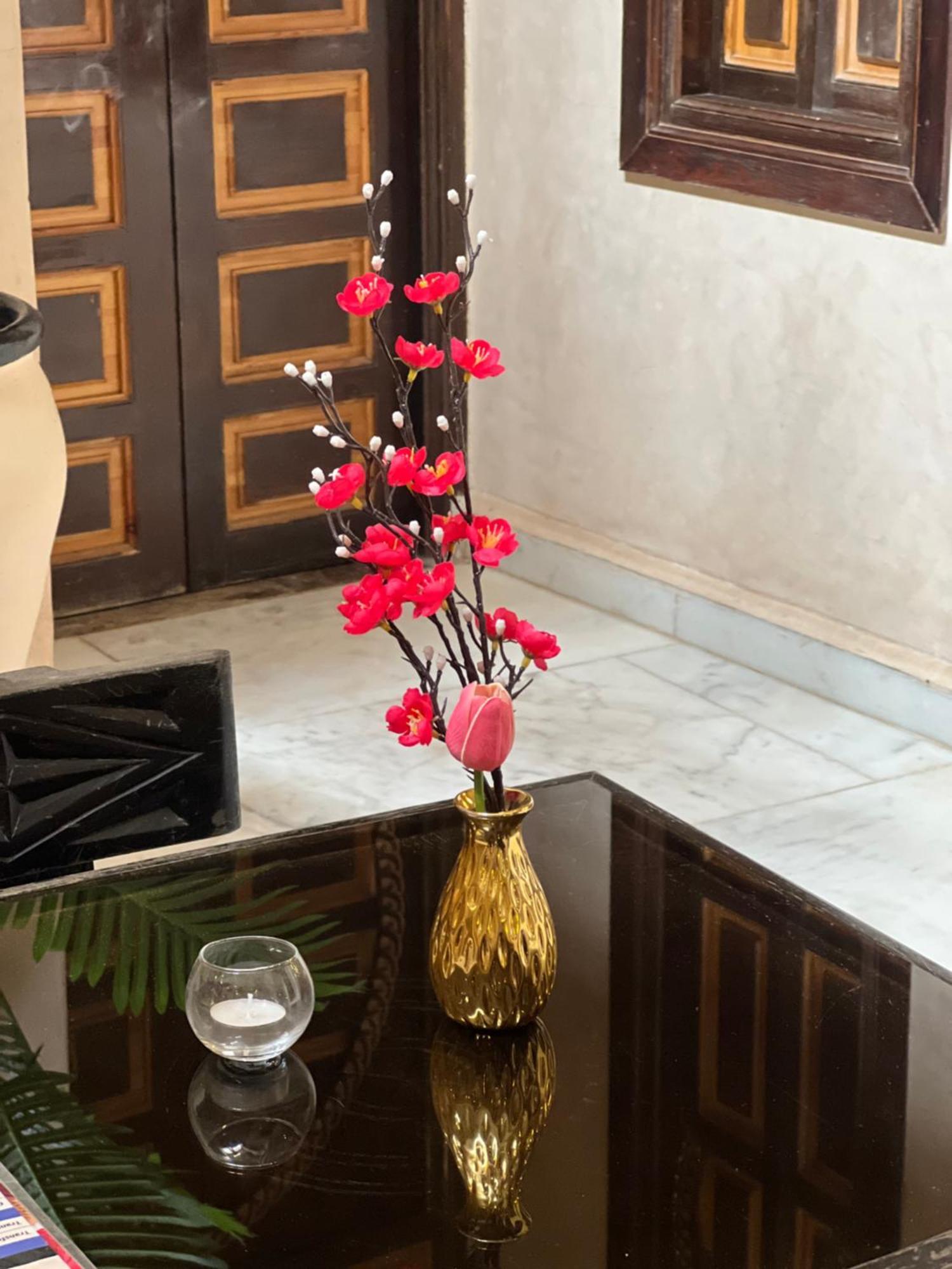 Alice Terrace & Riad *