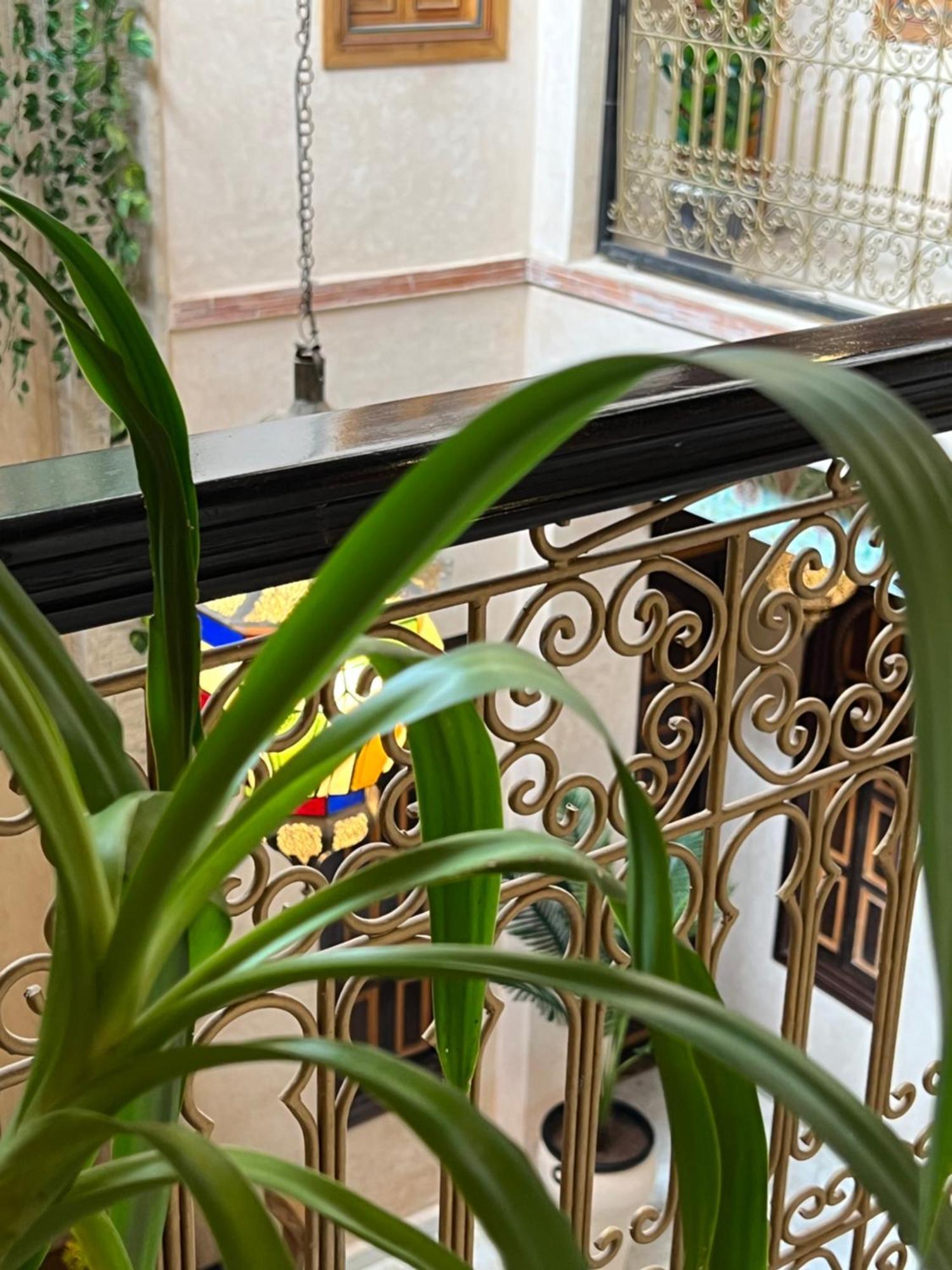 Alice Terrace & Riad *